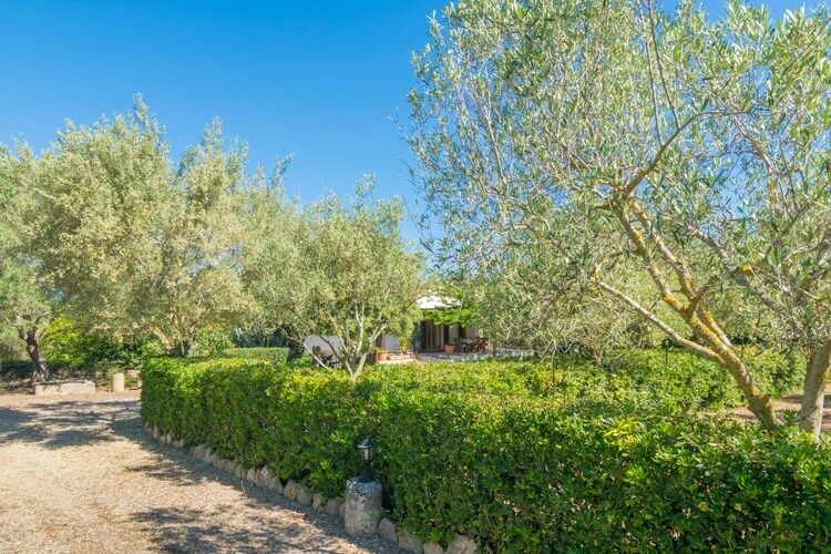 Villa Can Mostatxet, 6 pers., piscine 9x4,5m - Photo 28