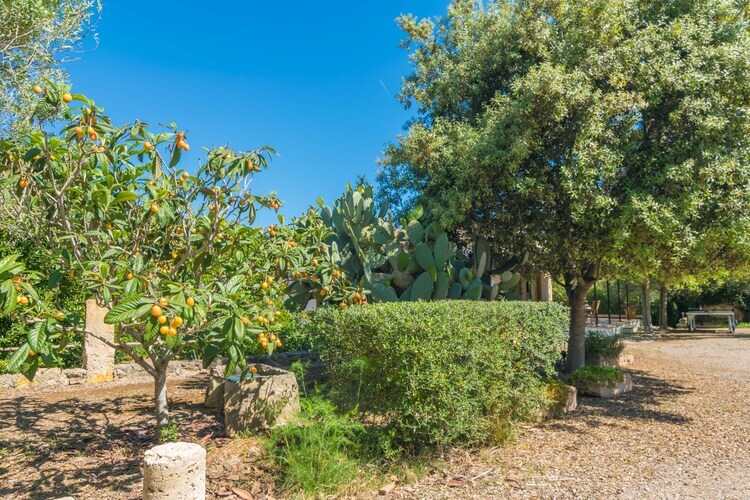 Villa Can Mostatxet, 6 pers., piscine 9x4,5m - Photo 29