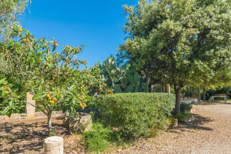 Villa Can Mostatxet, 6 pers., piscine 9x4,5m - Photo 39