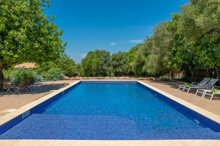 Villa Saran à Llucmajor : piscine eau salée 10x5m - Photo 43