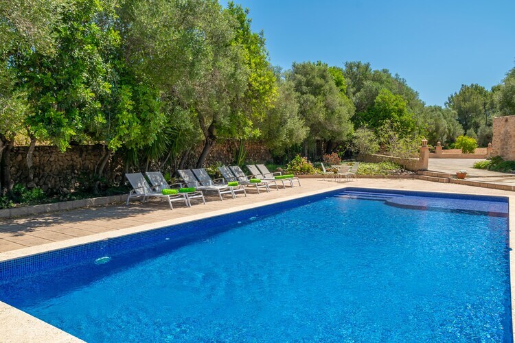 Villa Saran à Llucmajor : piscine eau salée 10x5m - Photo 44