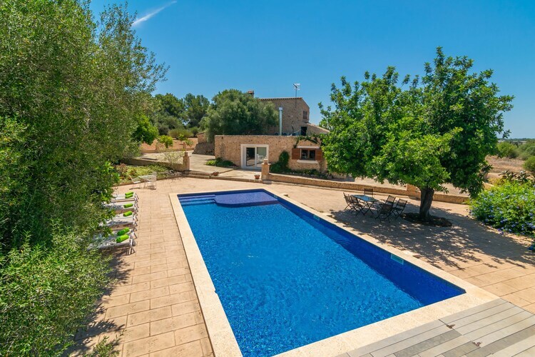 Villa Saran à Llucmajor : piscine eau salée 10x5m - Photo 45