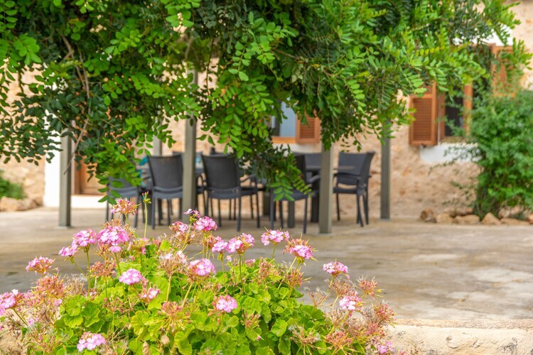 Villa Saran à Llucmajor : piscine eau salée 10x5m - Photo 50