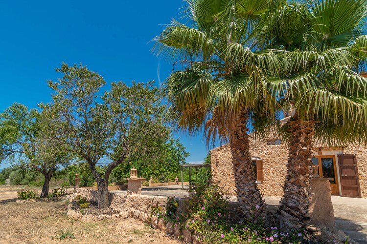 Villa Saran à Llucmajor : piscine eau salée 10x5m - Photo 53