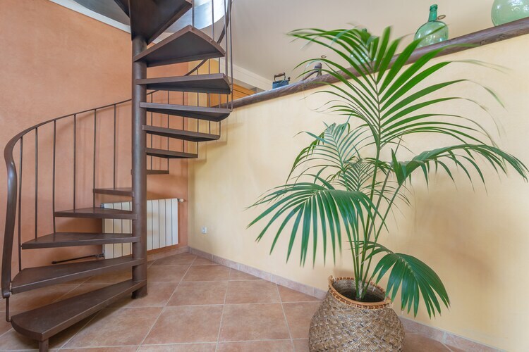 Can Ribas – Villa 8 pers. piscine privée à Can Picafort - Photo 26