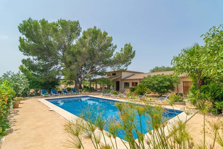Can Ribas – Villa 8 pers. piscine privée à Can Picafort - Photo 44
