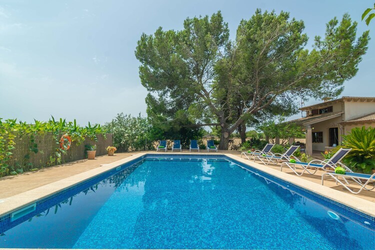 Can Ribas – Villa 8 pers. piscine privée à Can Picafort - Photo 45