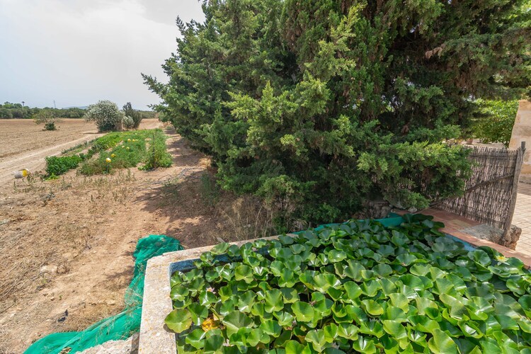 Can Ribas – Villa 8 pers. piscine privée à Can Picafort - Photo 48