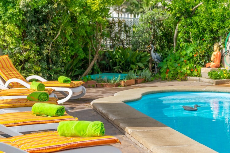 Villa Luna à Puerto De Alcudia : piscine et jardin - Photo 4