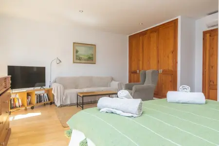 Els Àngels, villa 3 chambres avec piscine d'eau salée : photo 28