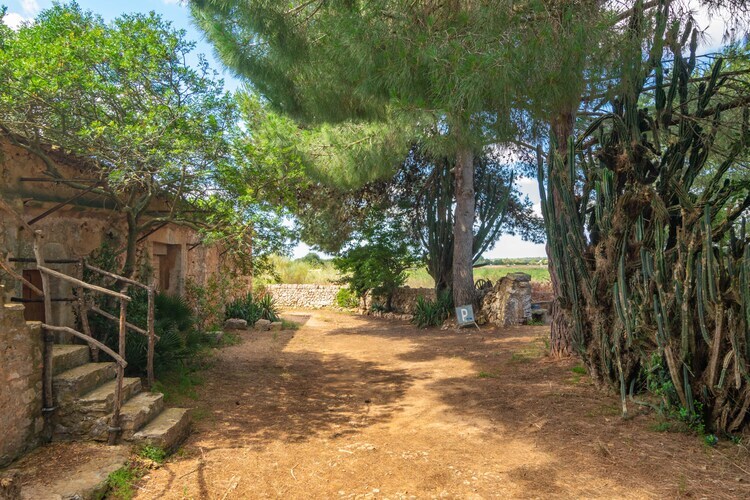 Son Mayol 2 – Maison mallorquine avec piscine aux Baléares - Photo 13