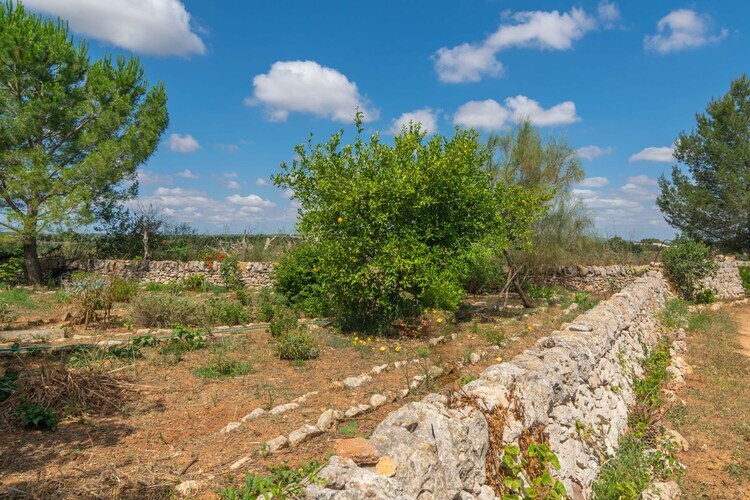 Son Mayol 2 – Maison mallorquine avec piscine aux Baléares - Photo 33