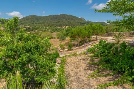 Villa S'albarcoquer – Piscine débordement et jacuzzi : photo 27