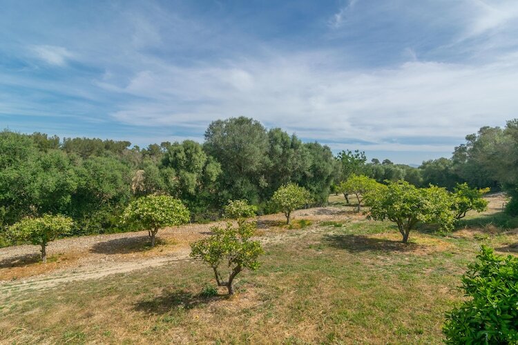 Villa Son Barrigo aux Baléares, piscine privée - Photo 33