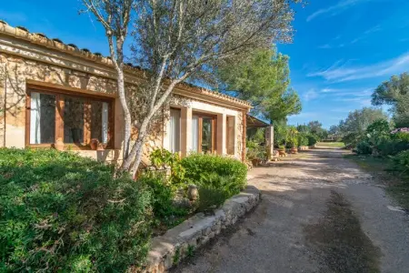 Villa Garriga D'alcudiola, piscine privée aux Baléares : photo 8