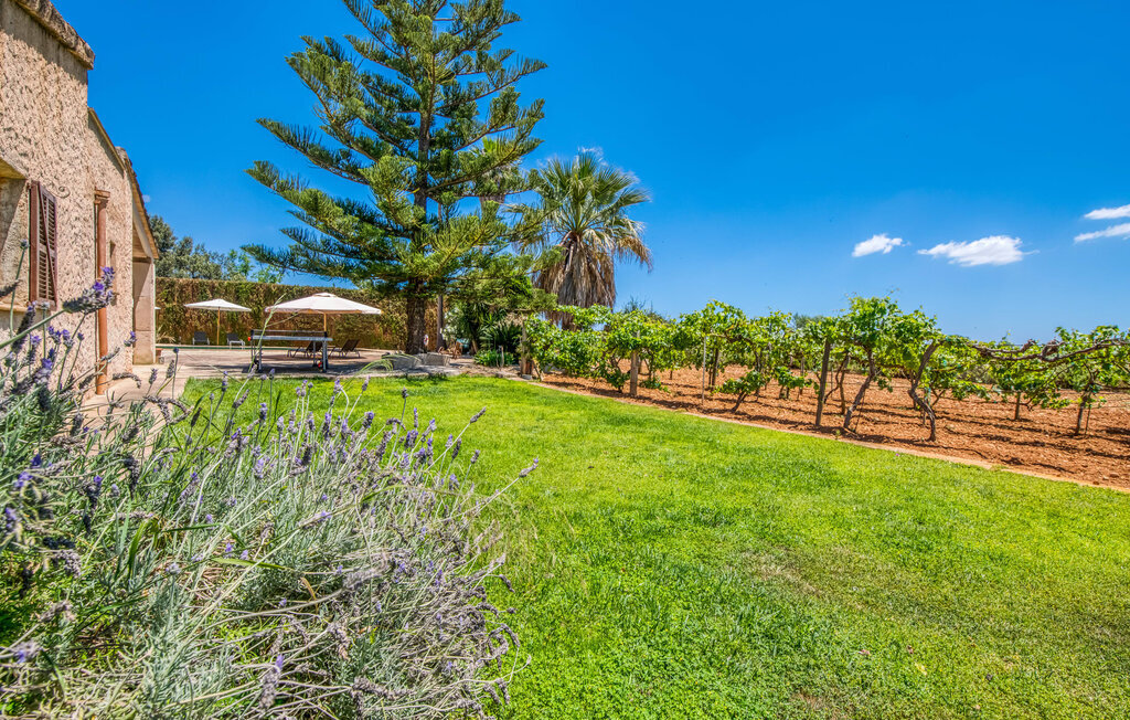 Sa Grua, Maison 6 personnes à Sant Llorenc - Photo 7