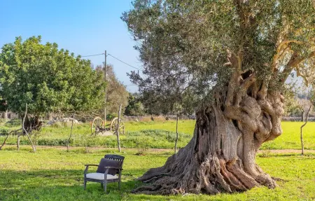 Morell Nou – Finca 8 personnes avec vue mer à Pollença : photo 19