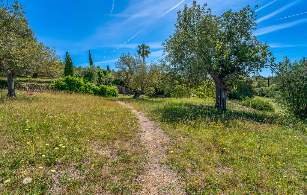 La Talayeta - Villa 6 pers. avec piscine à Artà - Photo 15
