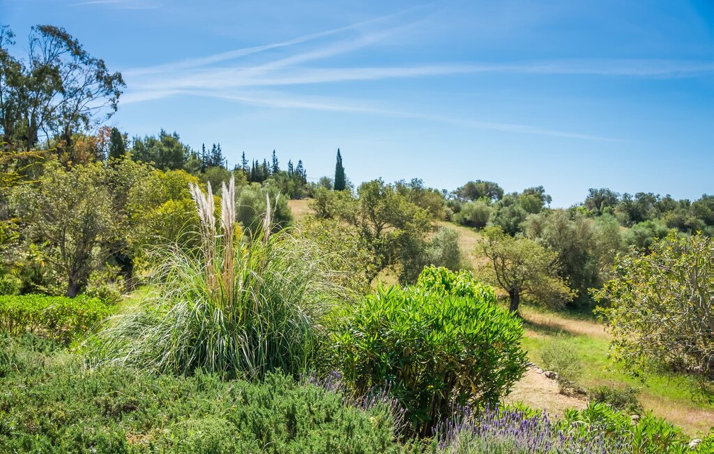 La Talayeta - Villa 6 pers. avec piscine à Artà - Photo 25