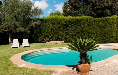 Pepe, Maison 8 personnes à Arta - Photo 13