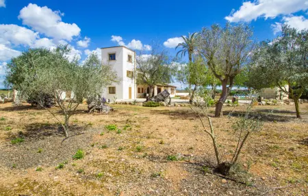 Sant Blai Nou, Maison 9 personnes à Campos - Photo 11