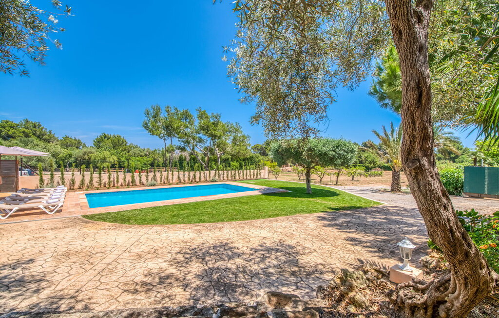 Olivo de Son Jaumell : maison 6 personnes avec piscine - Photo 4