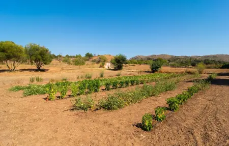 CAN TONI DE SA BOGURA CB, Maison 10 personnes à Sant Llorenç des Card. - Photo 29