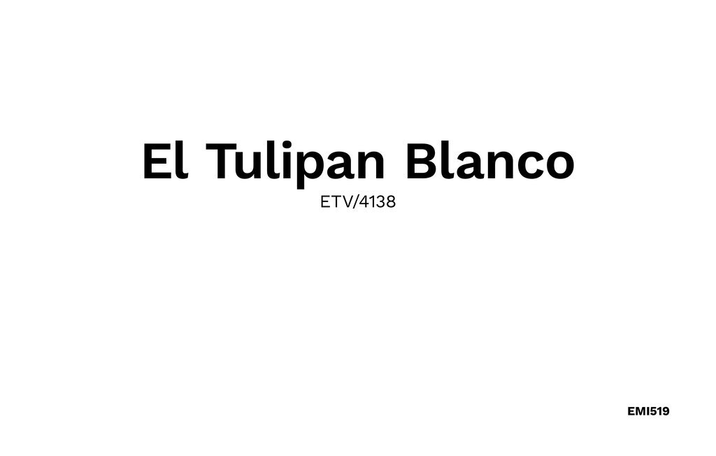 El Tulipan Blanco, Maison 6 personnes à Alcudia - Photo 41