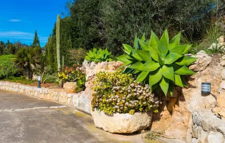 Son Galta – Villa vue mer avec piscine à Cala Millor : photo 29