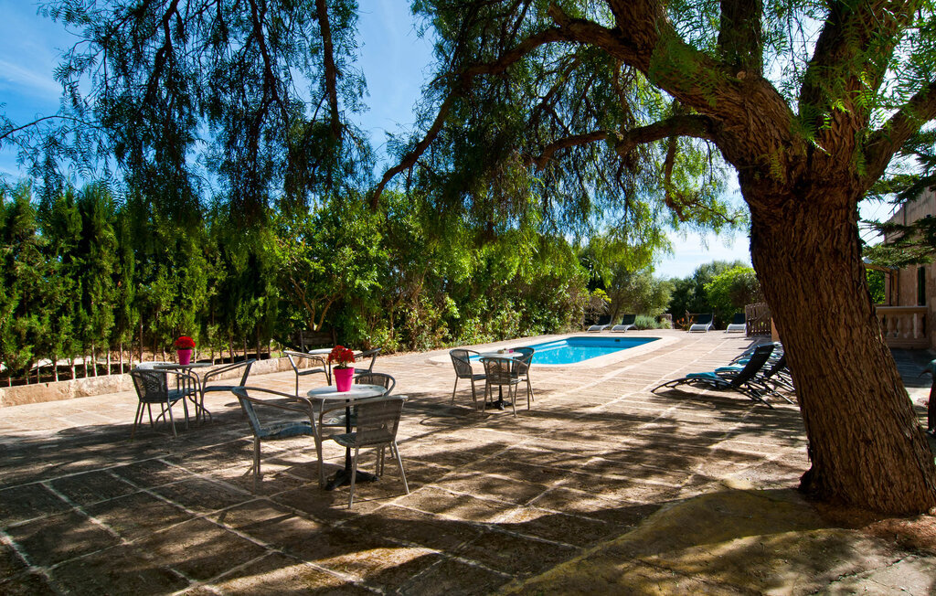 Agroturismo Es Rebost, Appartement 2 personnes à Manacor - Photo 2