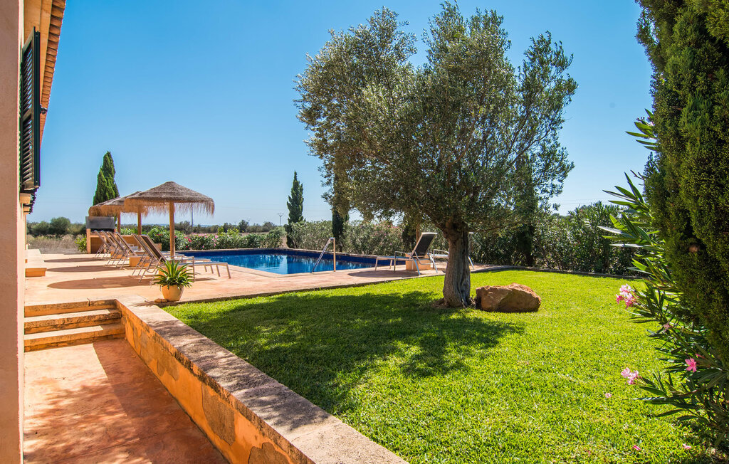 Es Vinyolet de Campos, Maison 8 personnes à Campos - Photo 15