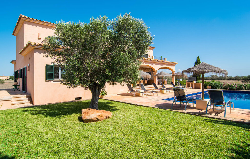 Es Vinyolet de Campos, Maison 8 personnes à Campos - Photo 18