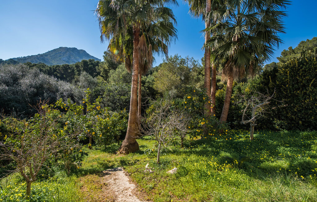Valerie de Sa Cala, Maison 4 personnes à Sa Font de Sa Cala - Photo 24