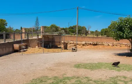 Na Banya, Maison 4 personnes à Sant Llorenc - Photo 48