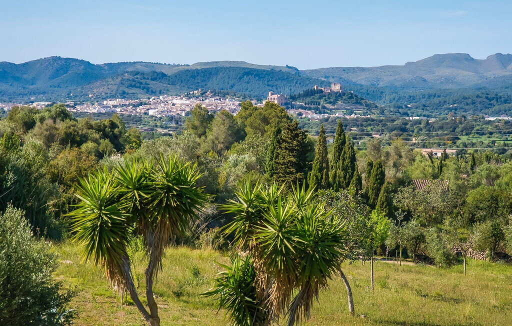 Oliveres, Maison 8 personnes à Arta - Photo 23