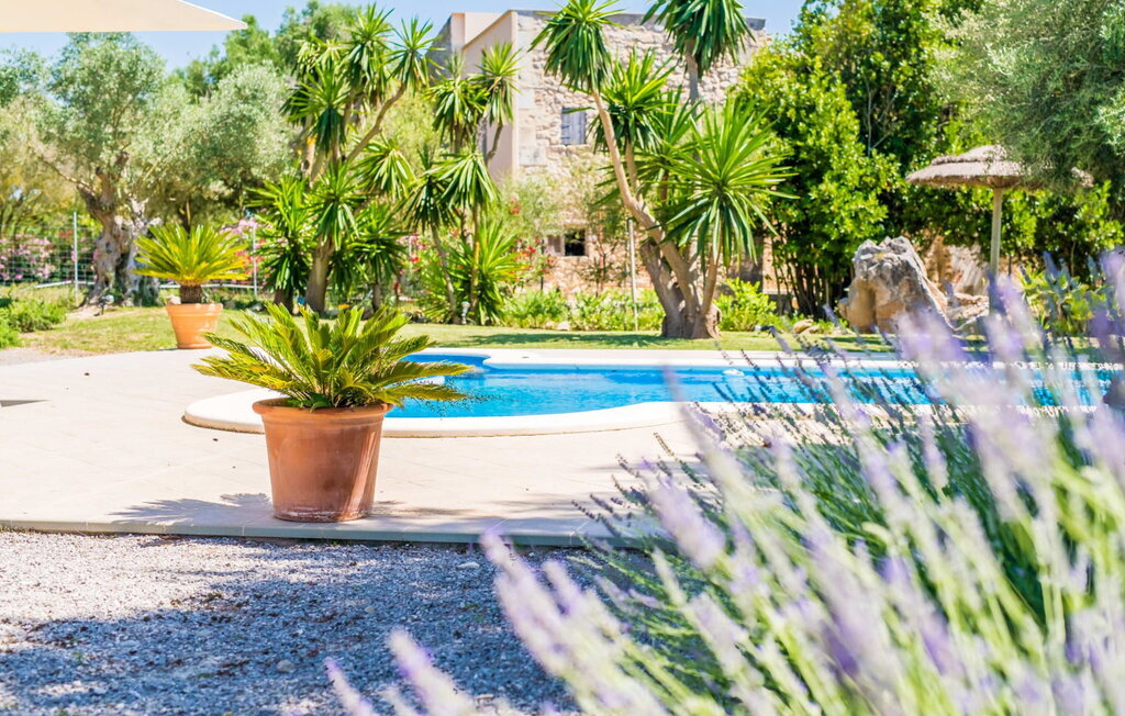 Villa Margalida : maison en pierre avec piscine mosaïque - Photo 22