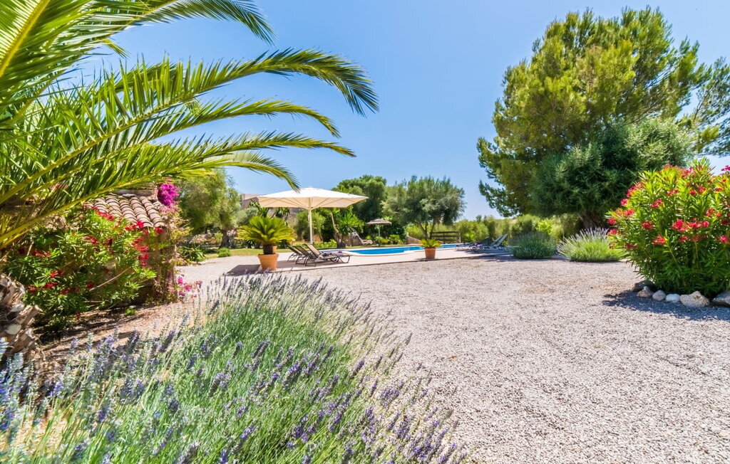Villa Margalida : maison en pierre avec piscine mosaïque - Photo 23