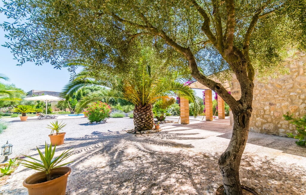 Villa Margalida : maison en pierre avec piscine mosaïque - Photo 30