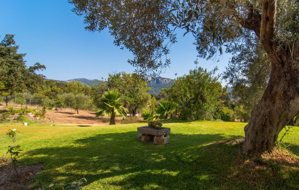 Villa Moscari, 5 chambres et parc de 74 000 m² - Photo 17