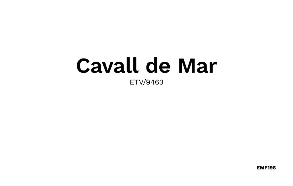Cavall de Mar, Maison 4 personnes à Sant Llorenc - Photo 41