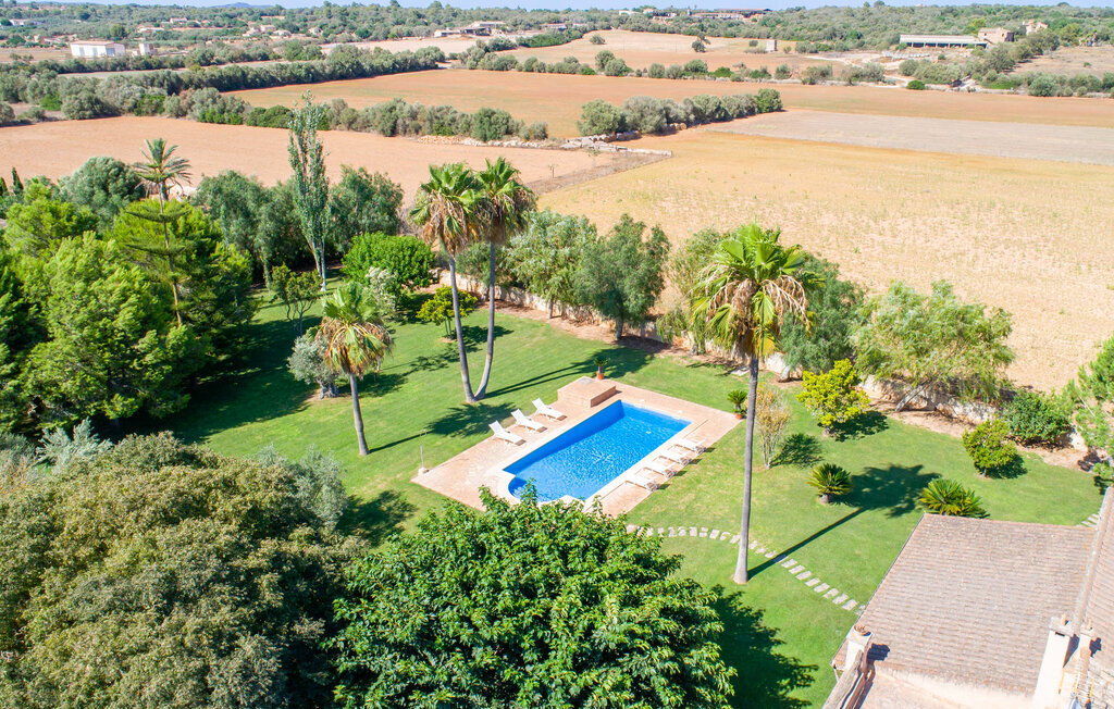 Can Rei, maison 8 pers. avec piscine à Campos - Photo 12
