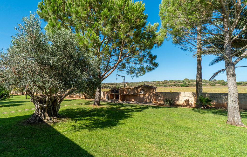 Can Rei, maison 8 pers. avec piscine à Campos - Photo 19