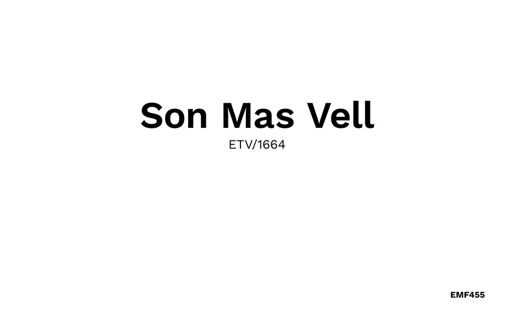 Son Mas Vell - Villa 12 pers. à Manacor - Photo 51