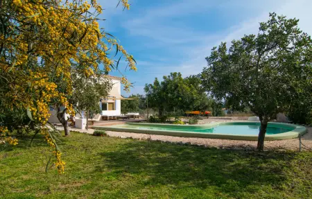 Villa Petit Chateu à Canyamel : maison avec piscine privée : photo 15