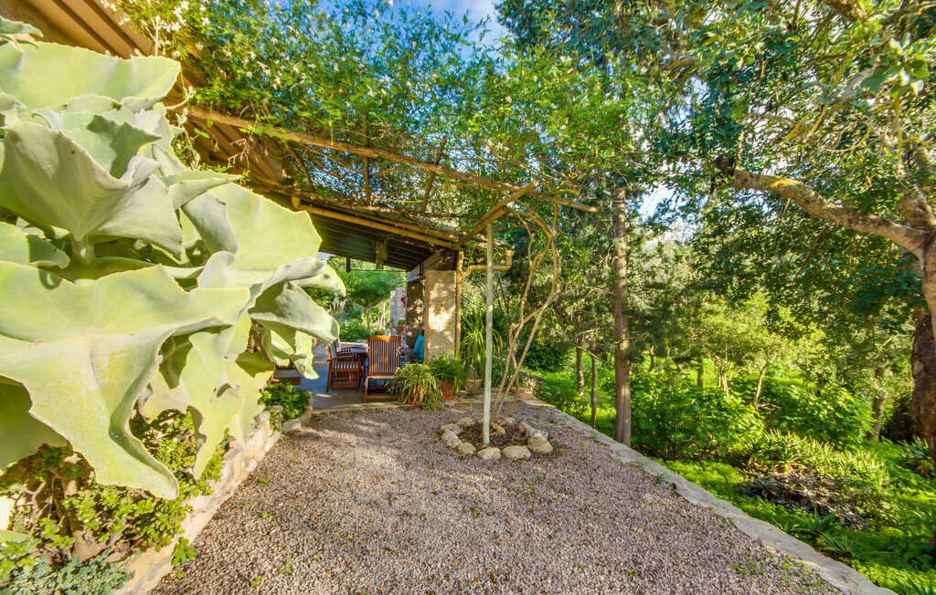 Higo Chumbo, Maison 4 personnes à Porreres - Photo 22