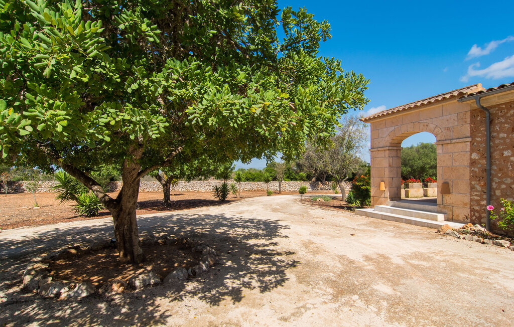 Can Ampasolia, Maison 8 personnes à Campos - Photo 21