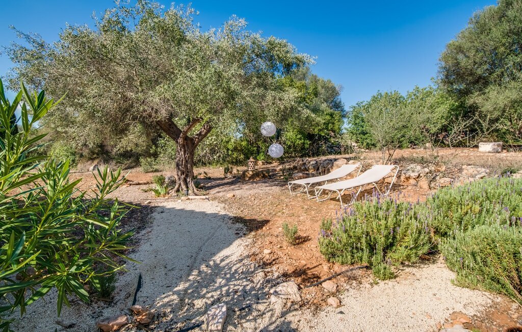 Villa El Retiro à Ses Salines, piscine d'eau salée - Photo 29