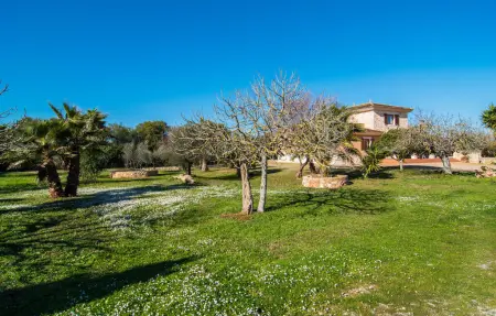 Sa Gravera de Sa Barrala - Maison 8 pers, piscine privée : photo 28