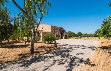 Son Peris, maison 8 pers. avec piscine à Cas Concos : photo 15