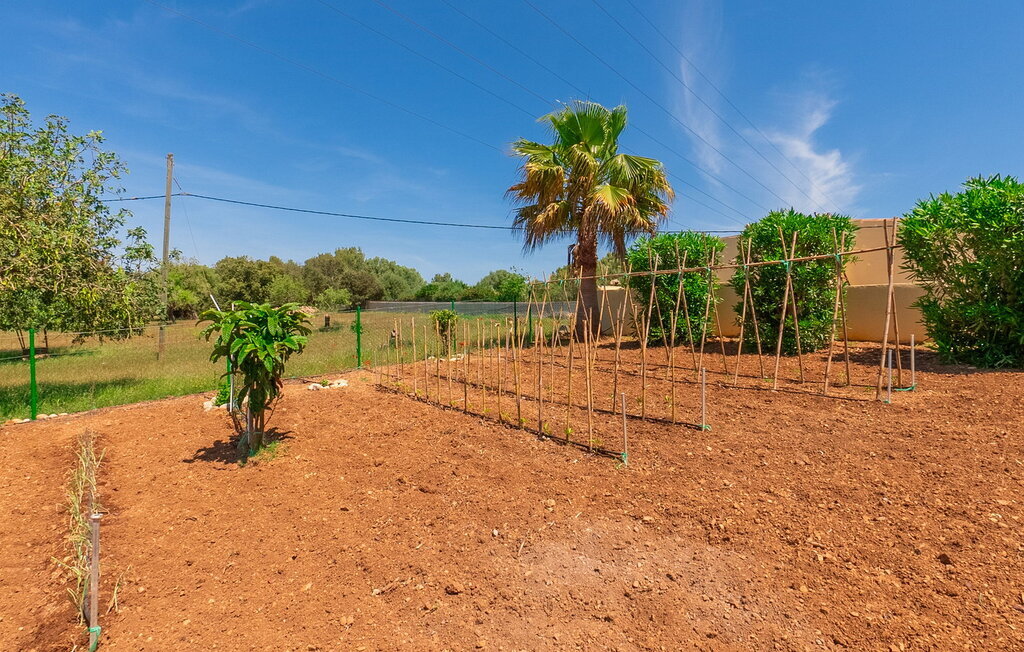 Sauma, Maison 6 personnes à Arta - Photo 22